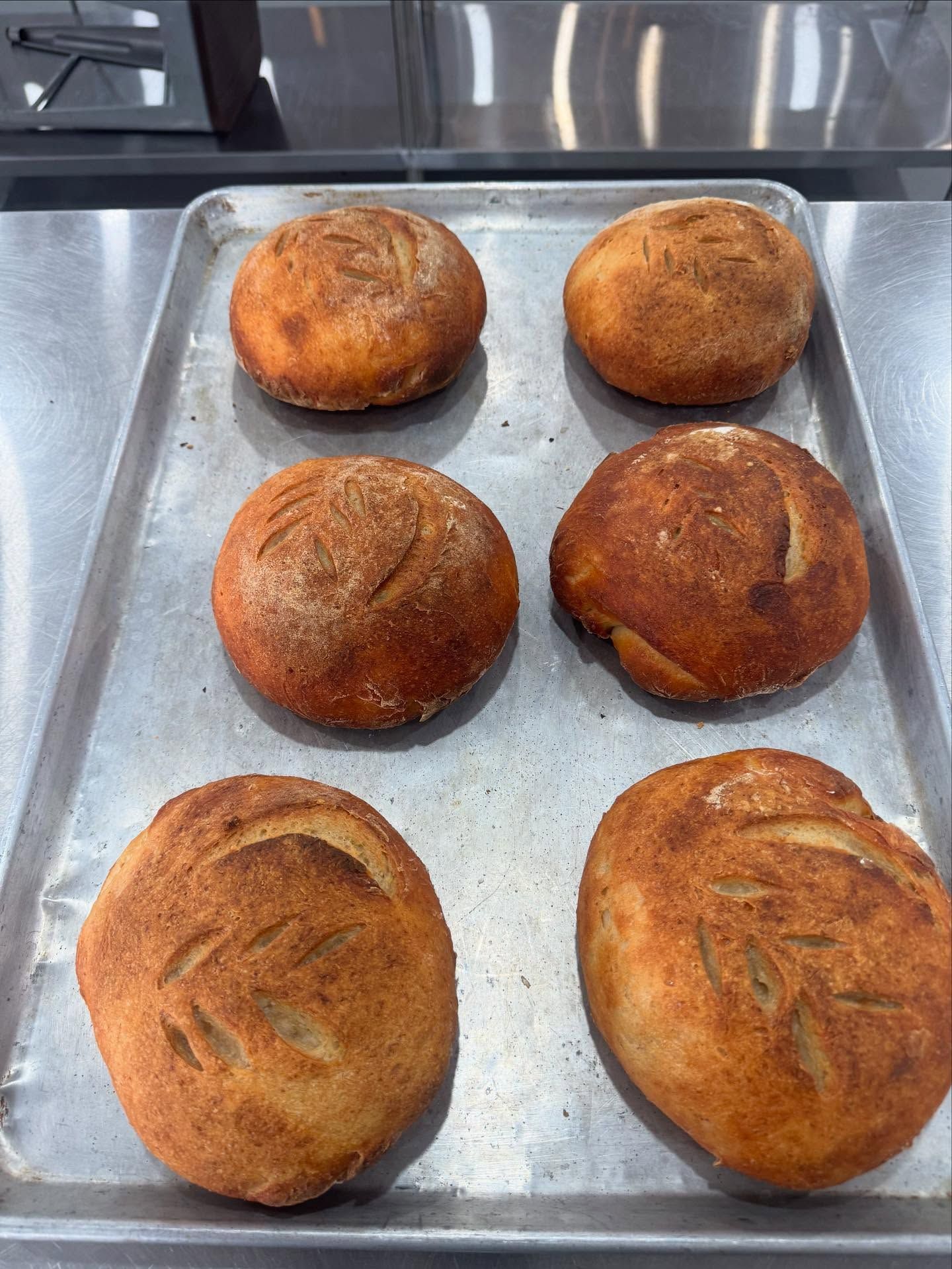 Six round, golden-brown loaves of bread on a metal baking sheet, each with a decorative slash.