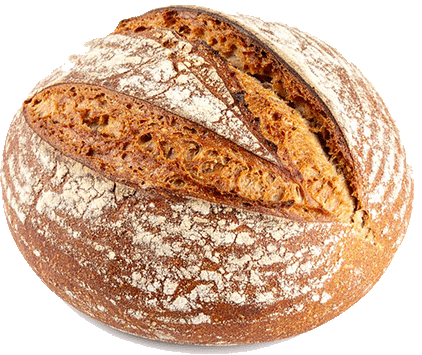 Chocolate glazed donut.