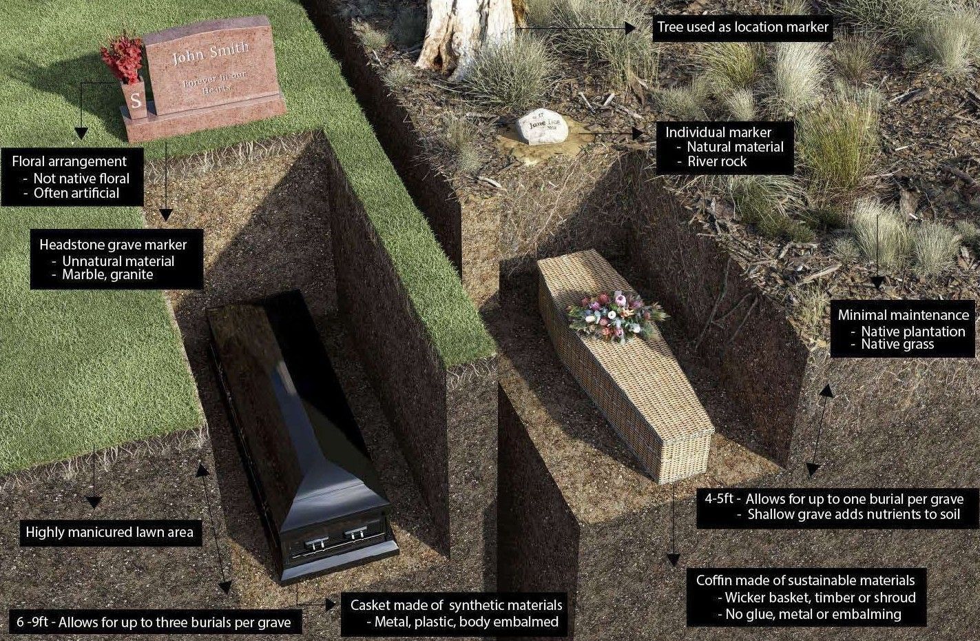 This is an image of natural burial styles in a cemetery in which is environmentally friendly.