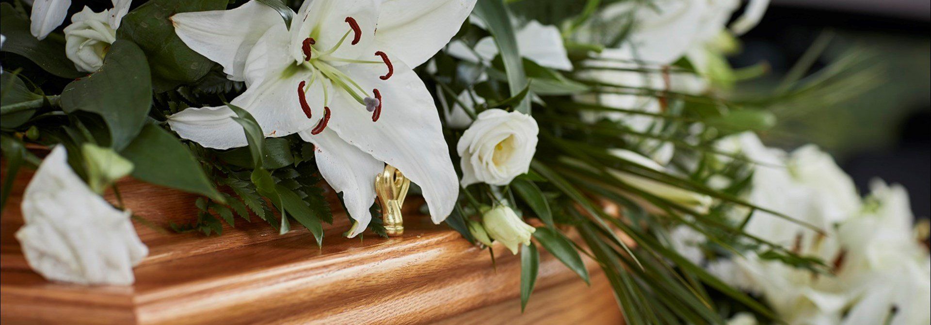 Funeral Costs Brisbane Tony Hollands Funerals