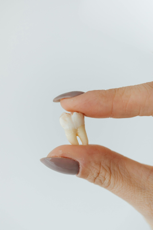 Person holding a human molar tooth between their fingers, against a white background.