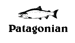 Patagonian Salmon