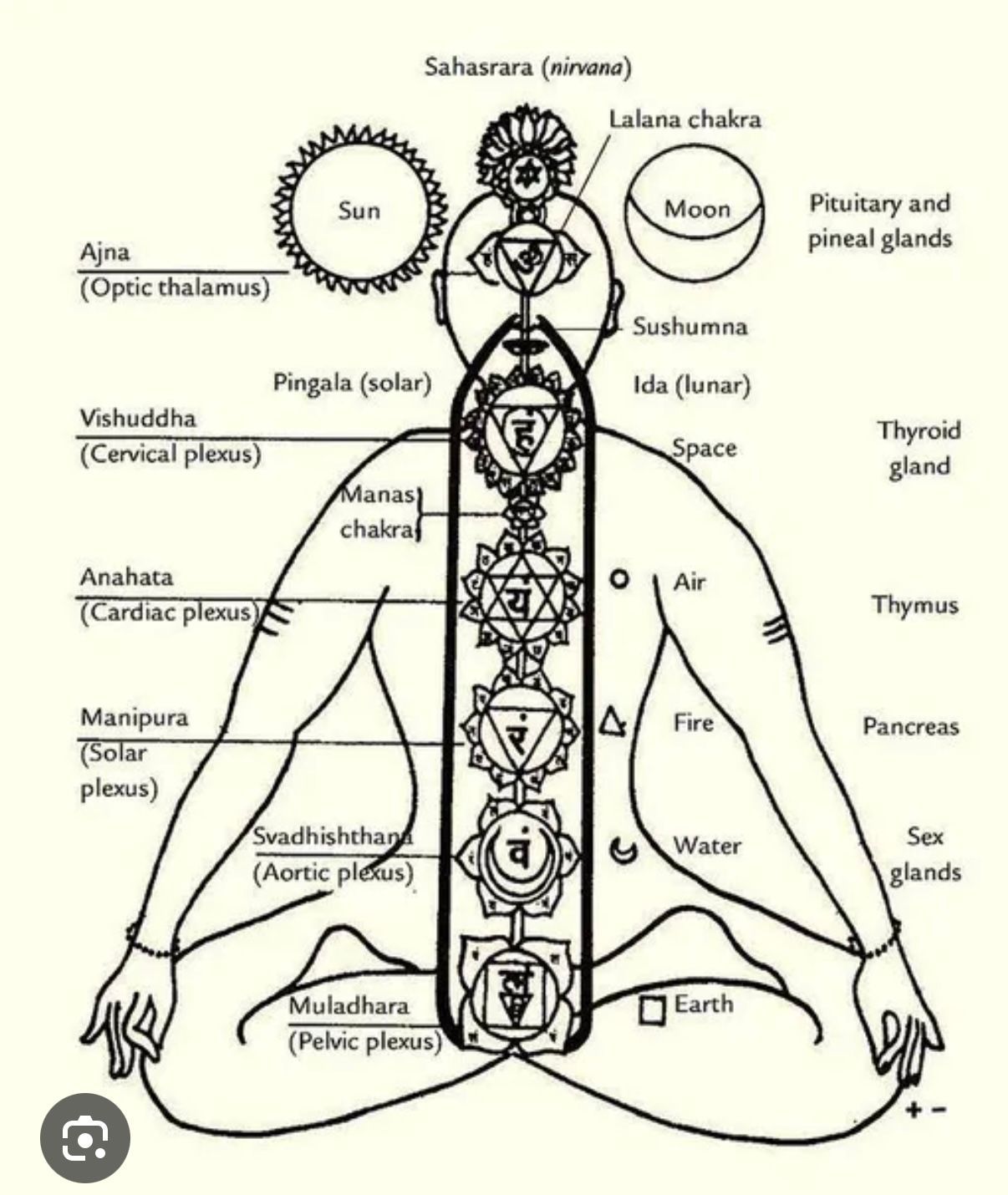 Chakras und die Organe dazu