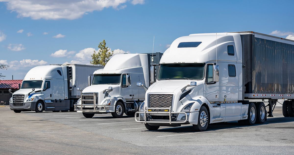 Three white semi-trucks parked in a lot on a sunny day.