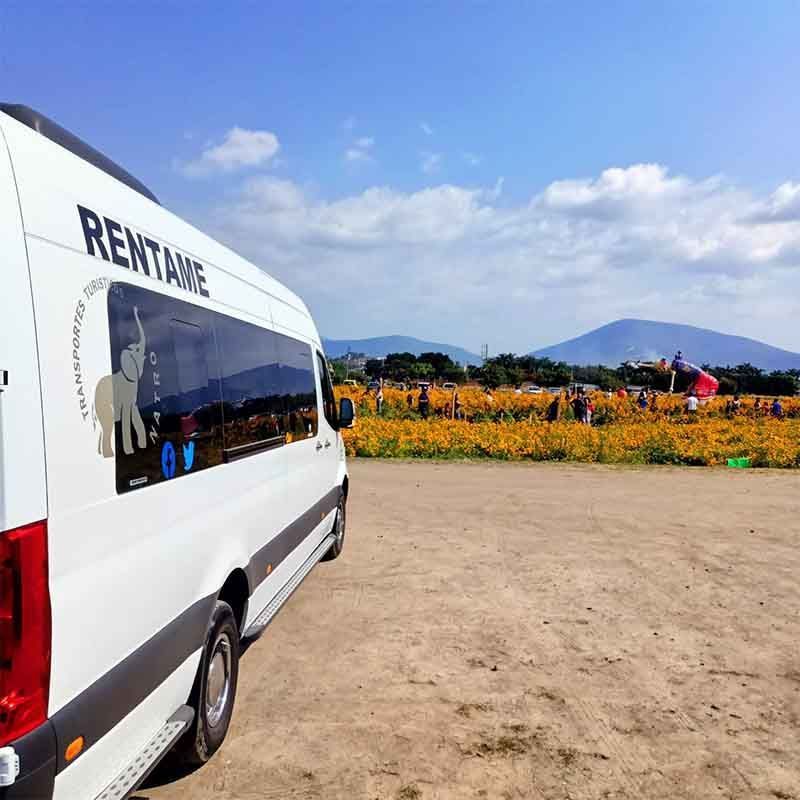 TRANSPORTES TURÍSTICOS NATRO SA DE CV