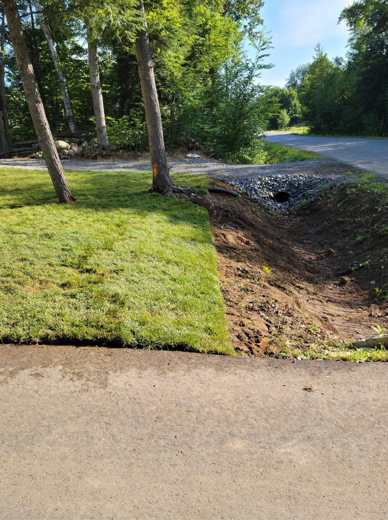 Une zone herbeuse à côté d'une route avec des arbres en arrière-plan.