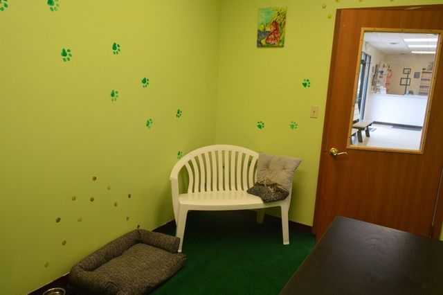 Plastic Chair — Urbana, IL — All Creatures Animal Hospital