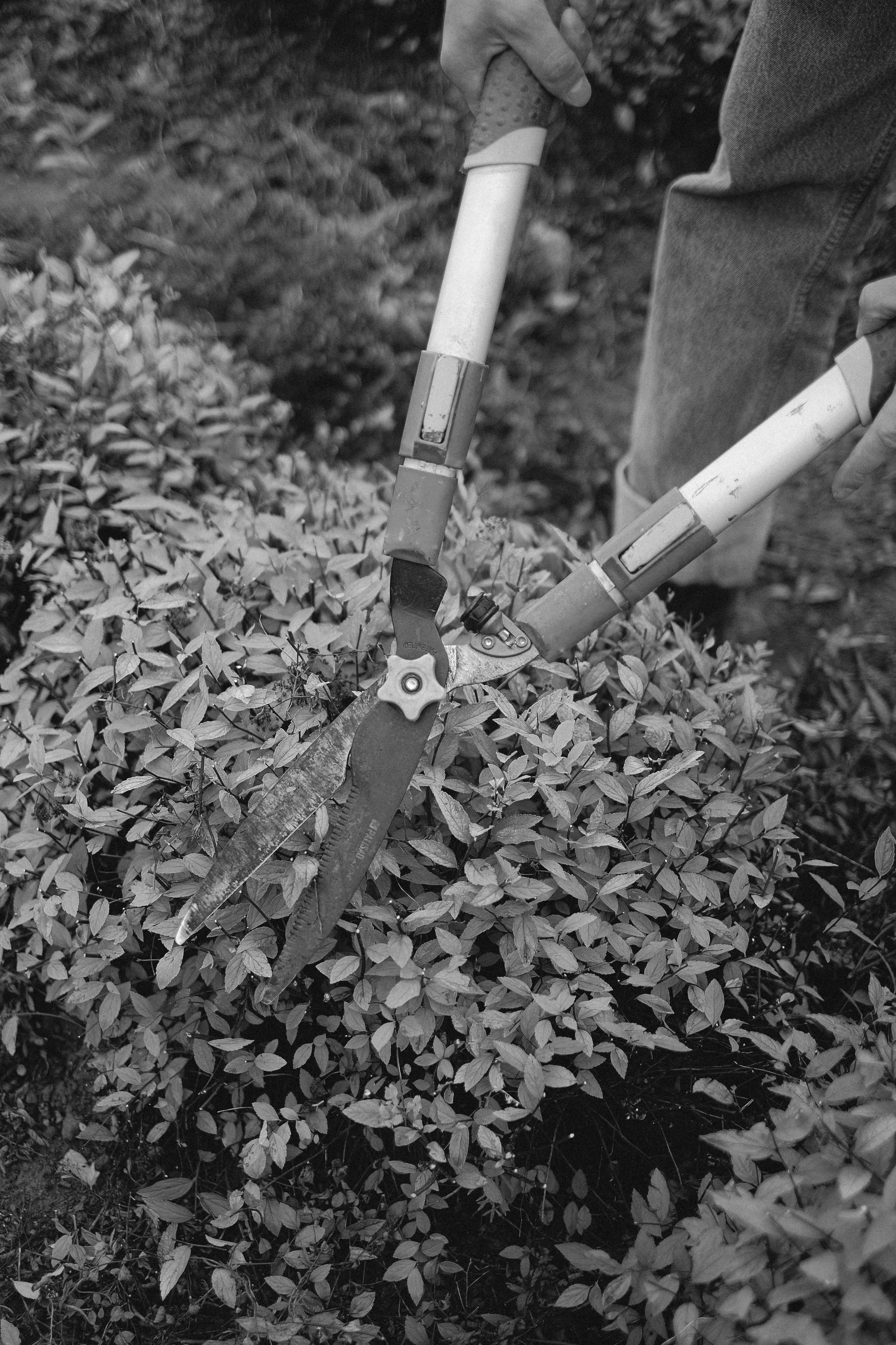 A woman wearing a helmet is using a chainsaw in the woods.