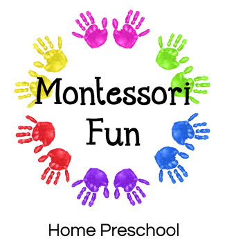 Montessori Fun
