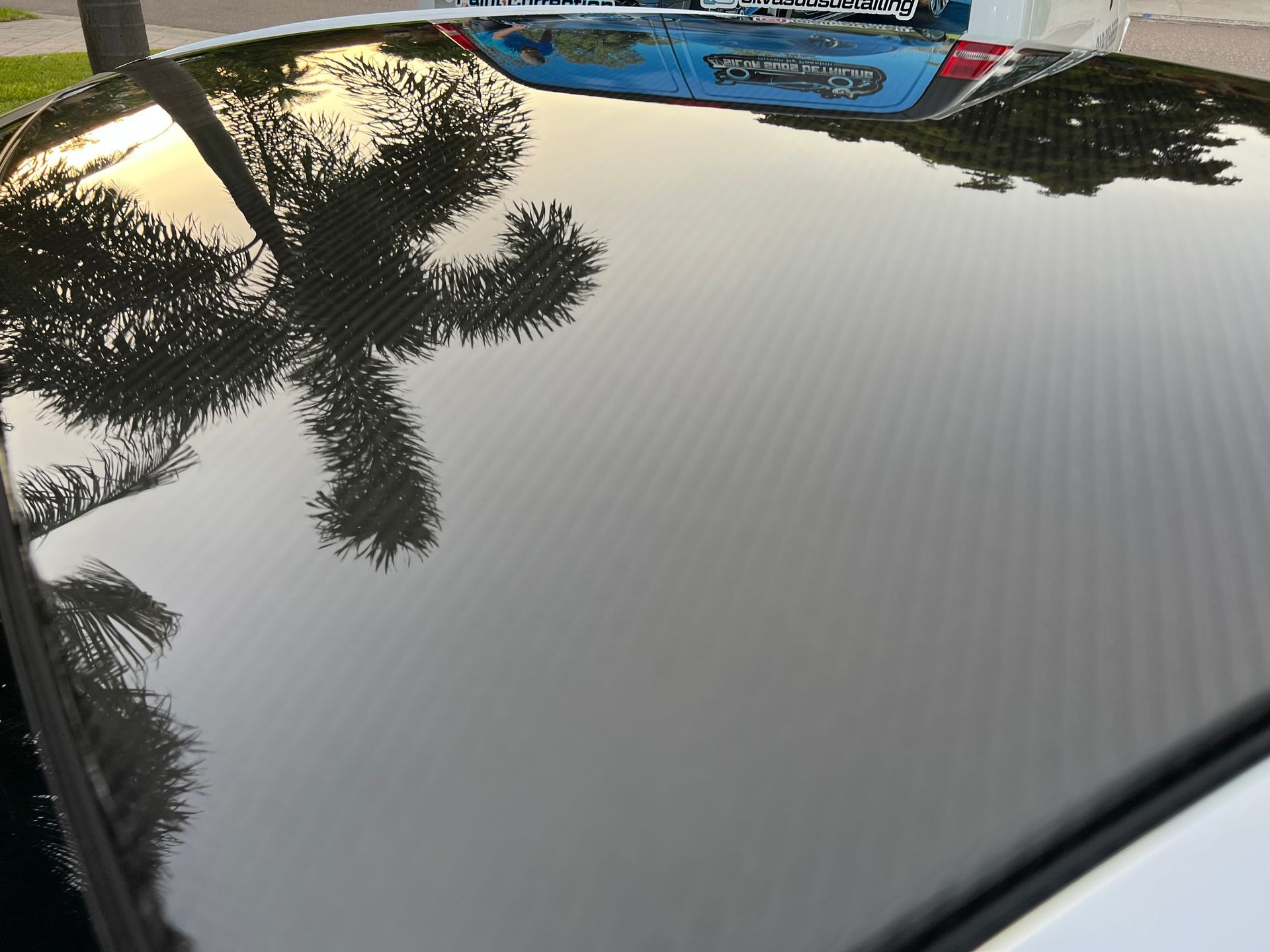 A reflection of a palm tree in the hood of a car