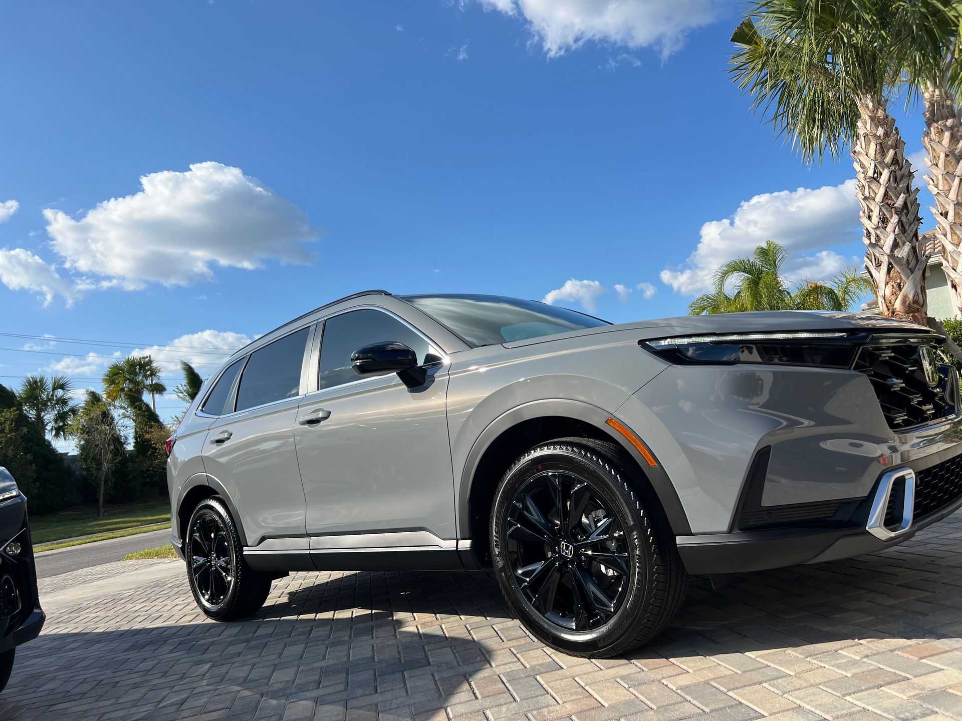 A silver suv is parked on a brick driveway next to palm trees.