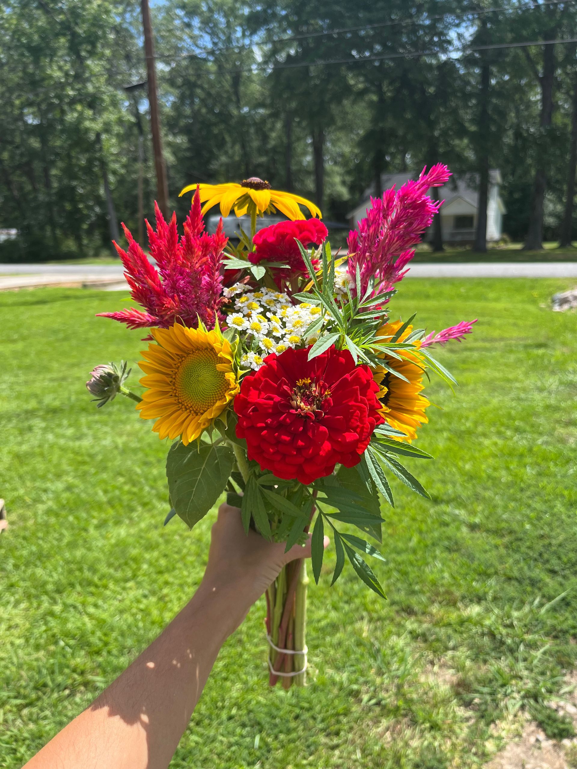A person is holding a bouquet of flowers in their hand.