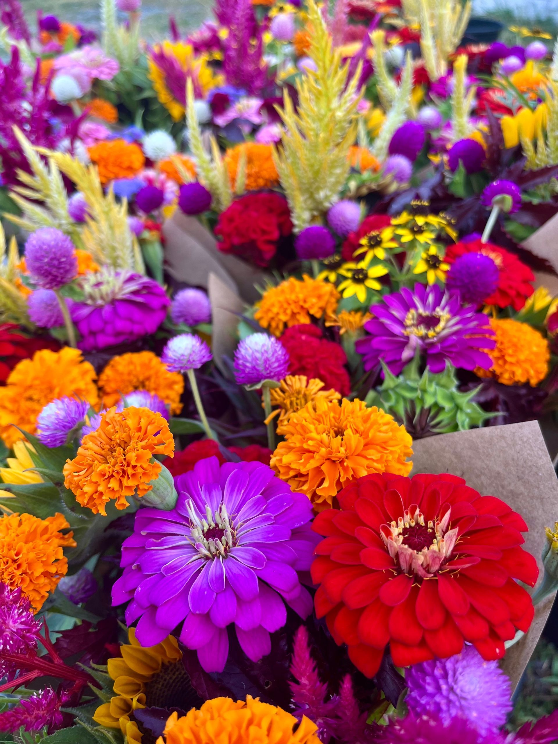 A bunch of colorful flowers are sitting on a table.