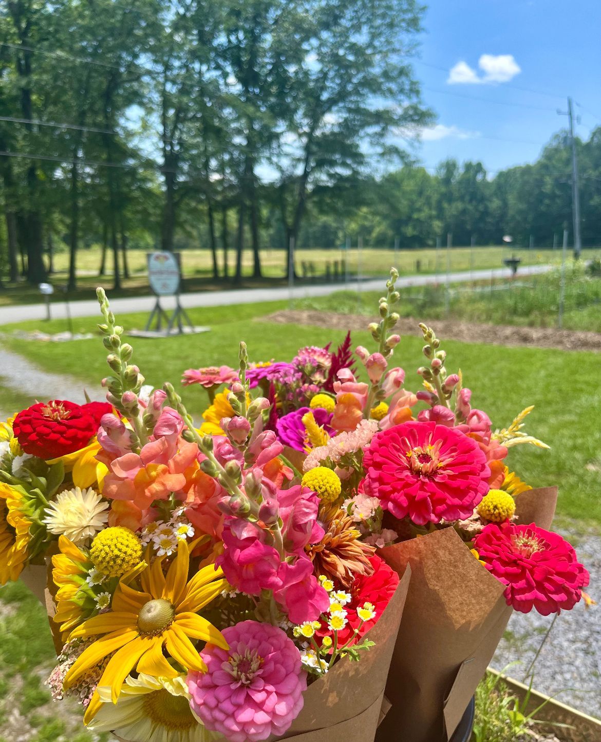 A bouquet of flowers is sitting on a table in front of a field.