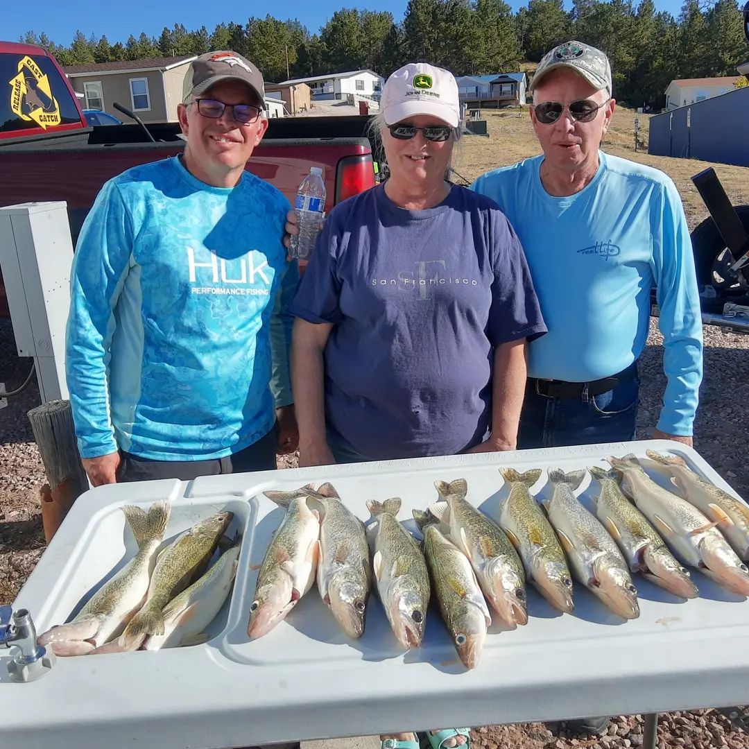 We'll teach you how to catch walleye fish