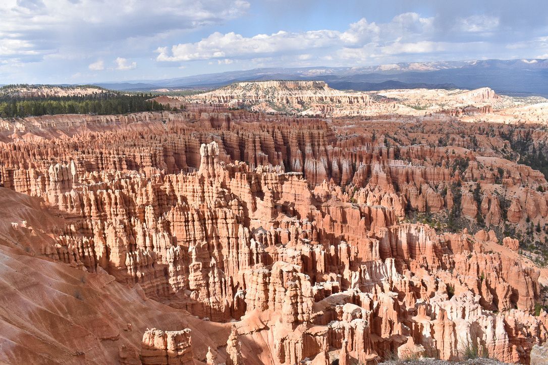 Eroded sandstone hoodoos fill a canyon; reddish-orange rock formations under a partly cloudy sky.