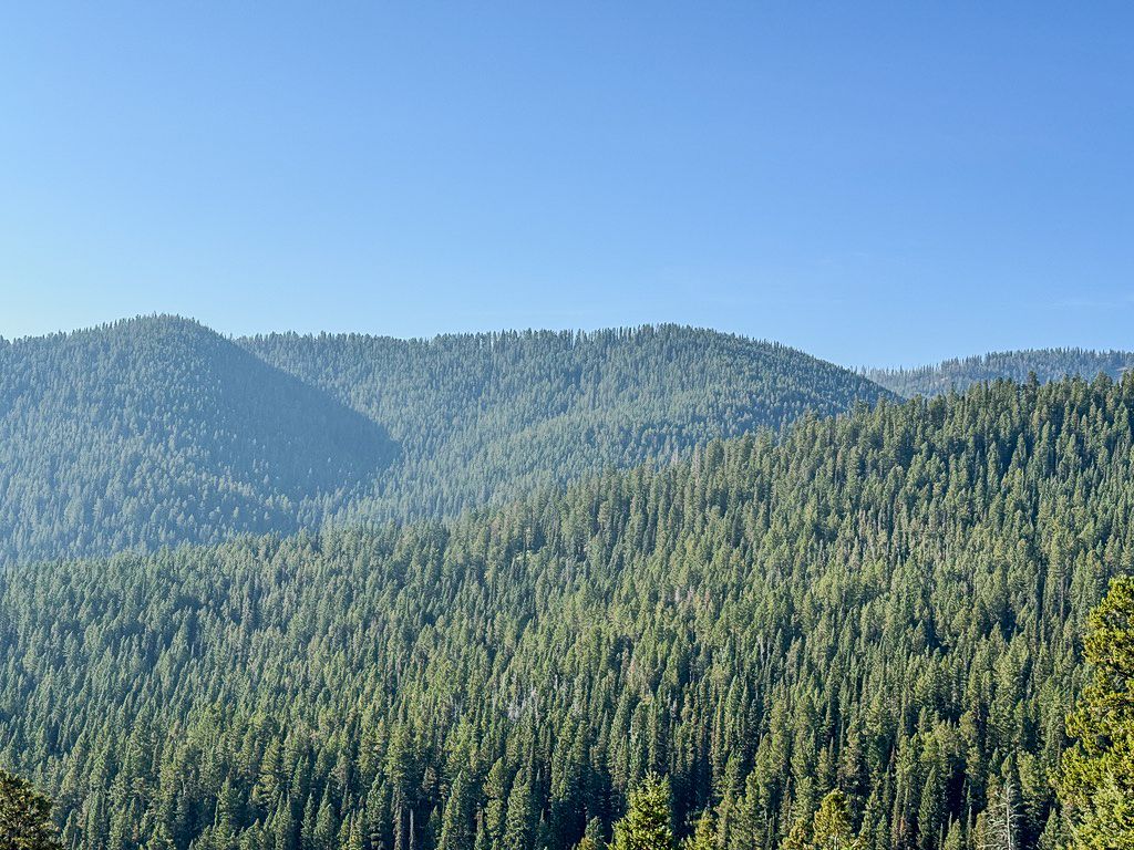 Forest-covered mountain range under a clear blue sky.