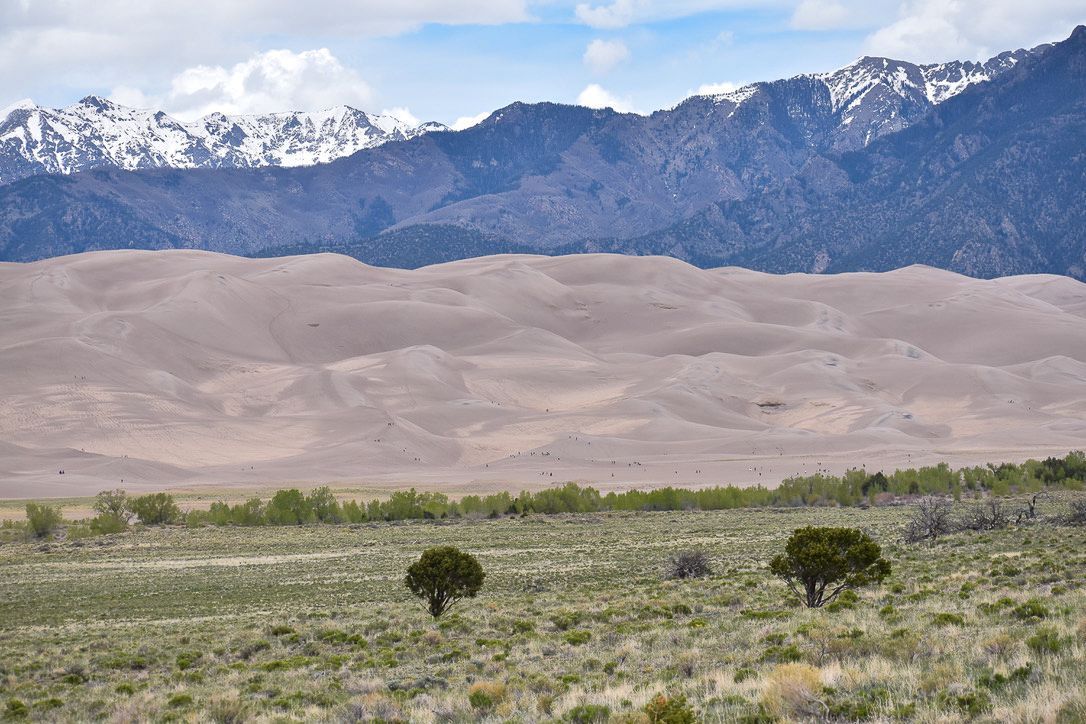 Sand dunes with distant snowy mountains and green scrub.