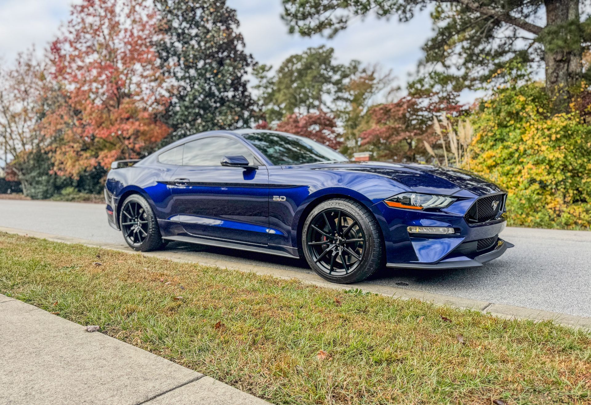 Blue Ford Mustang parked on a road, surrounded by autumn foliage.