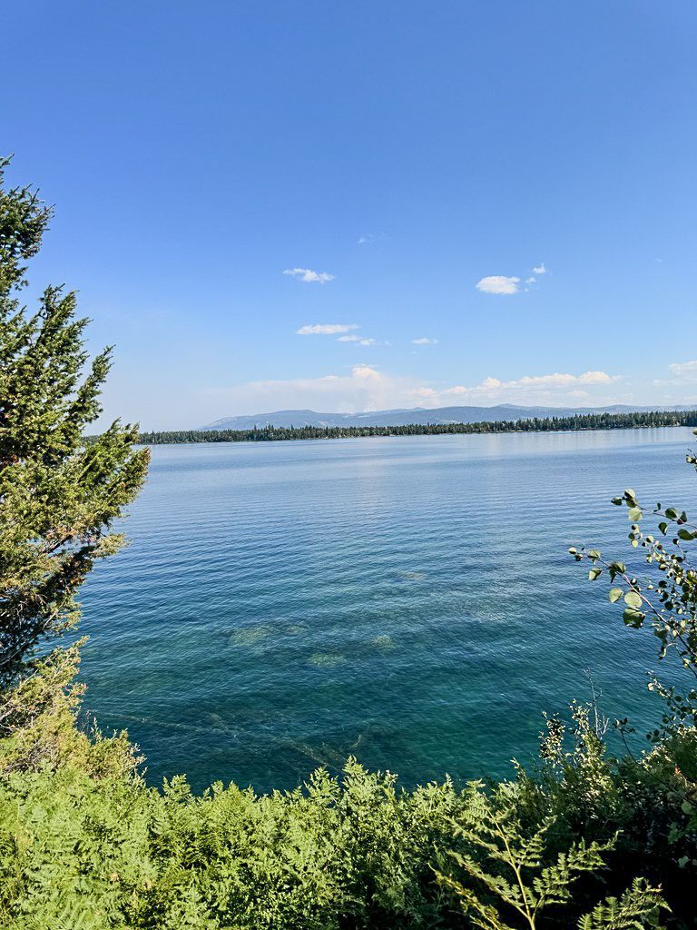 Blue lake under a clear sky, framed by green trees and distant mountains.