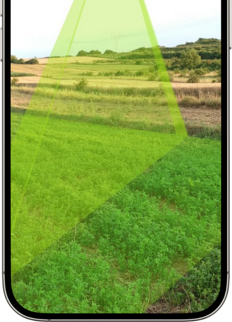 A cell phone is displaying a picture of a field of green plants.
