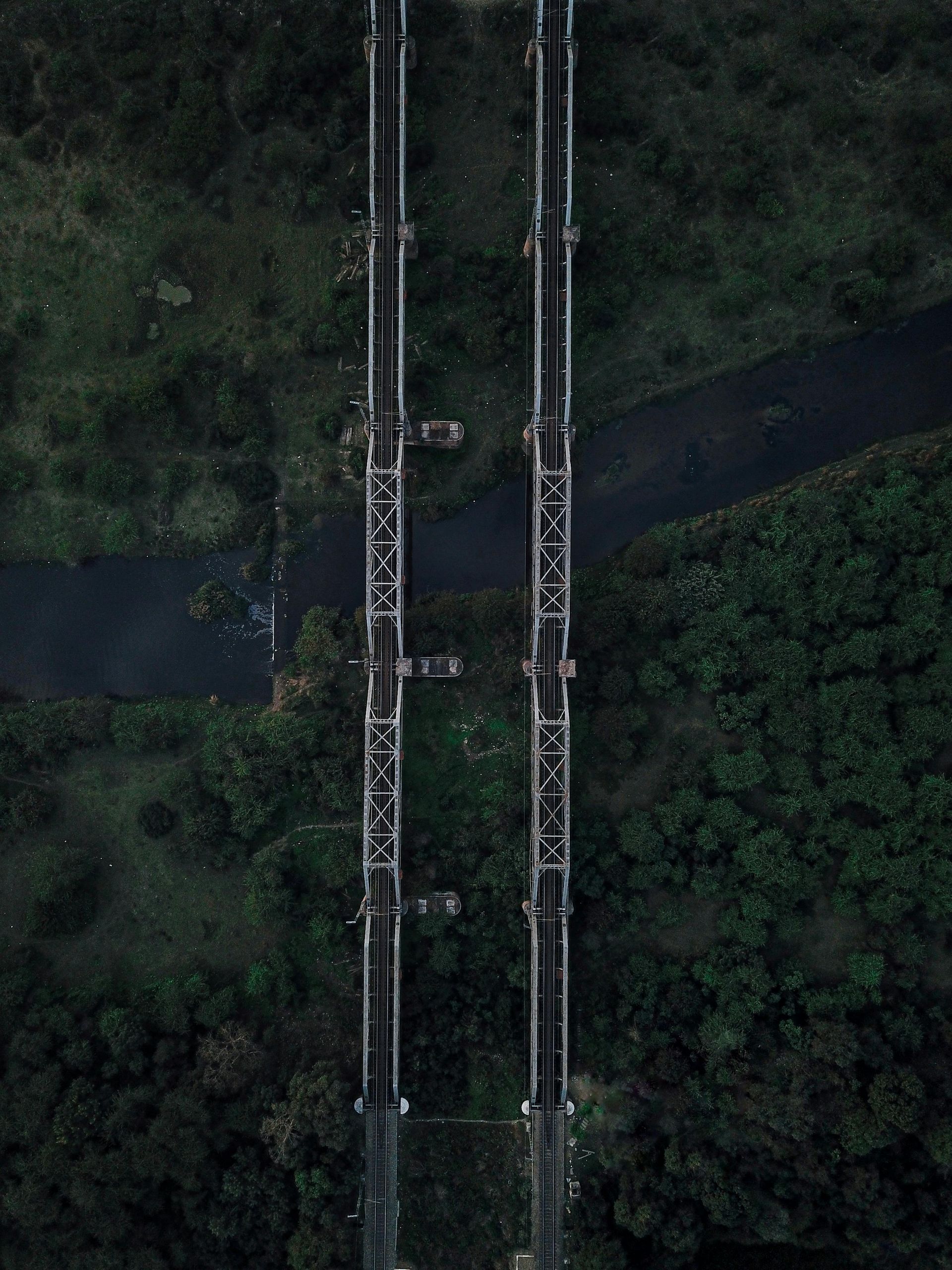 Overhead view of two parallel bridges spanning a dark river, surrounded by green trees.