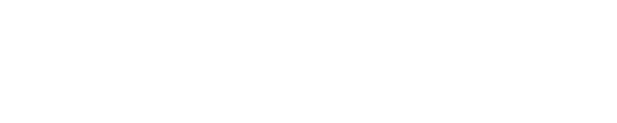 A logo for nextlevel soccer with a soccer ball on it