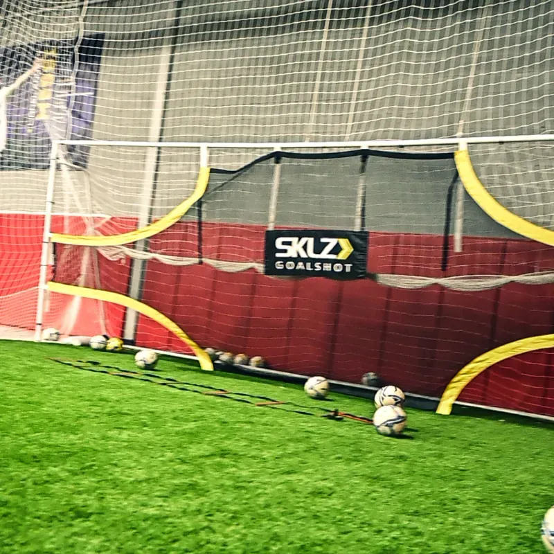 Soccer balls are lined up in front of a sklz goalshot net