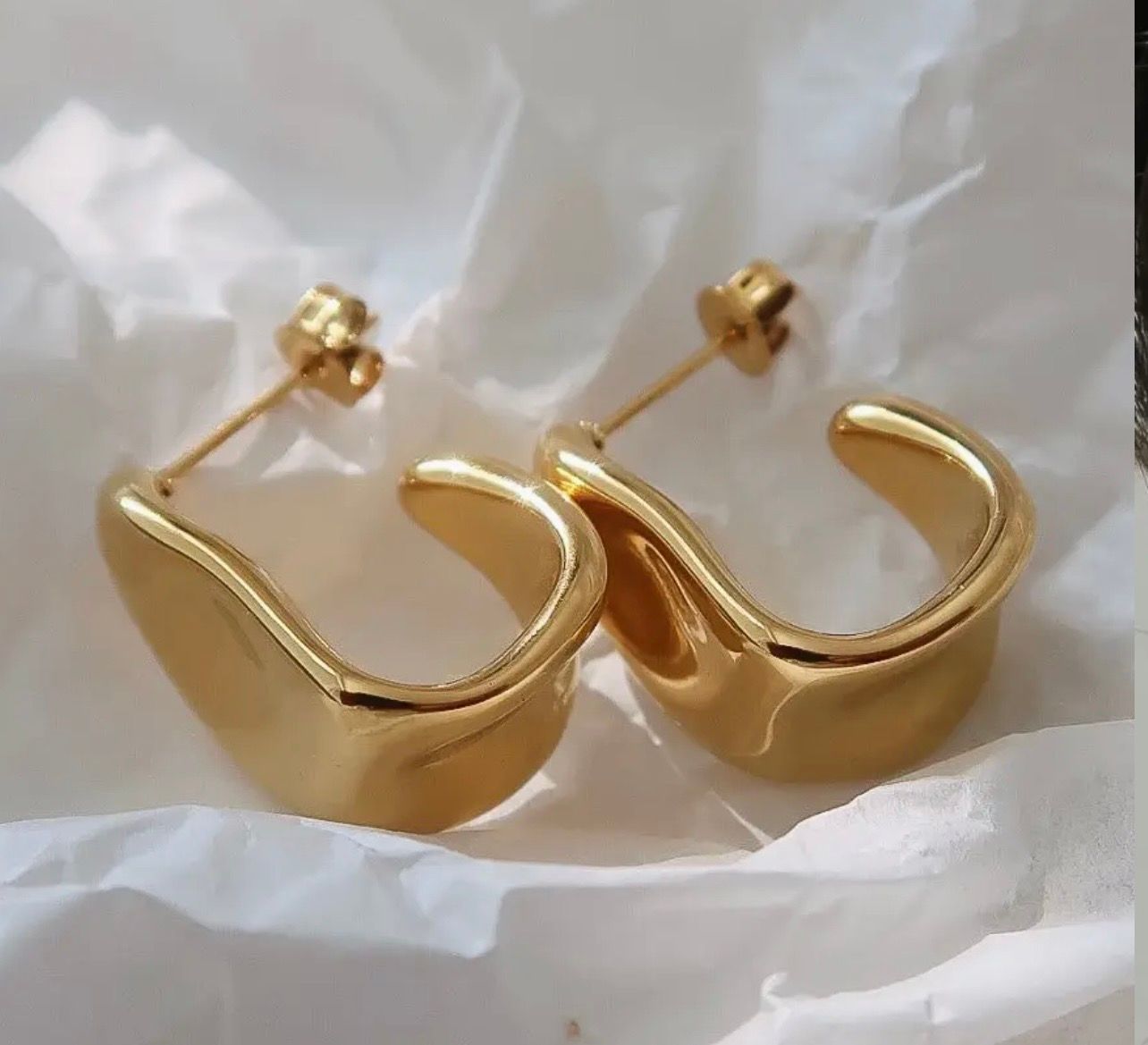 Ninelle Sculpted Earring