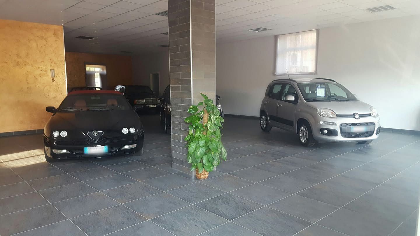 New Cars srl, concessionaria auto, autonoleggio, officina