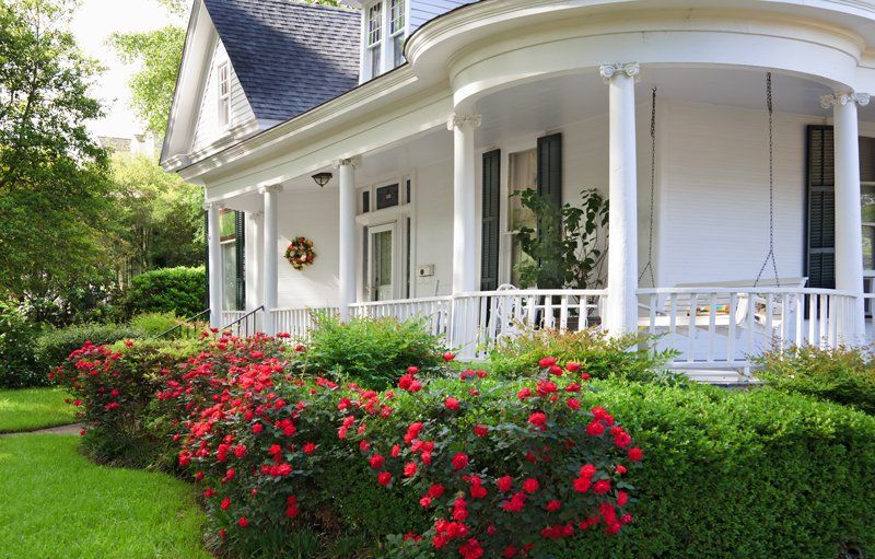 An exterior image of a beautiful victorian home with lush green grass and rose bushes outside