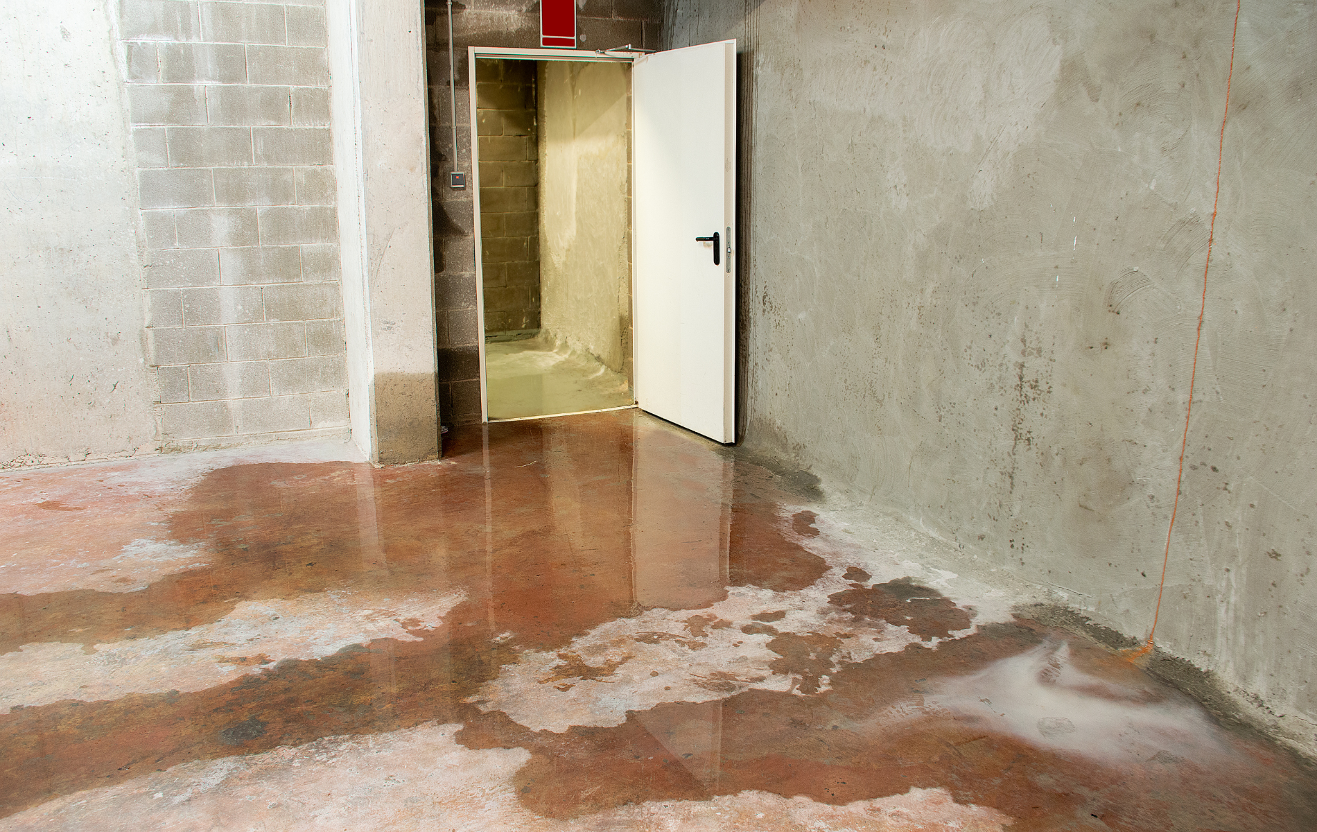 A basement floor covered in standing water, with a concrete wall and an open white door leading to a dimly lit room.