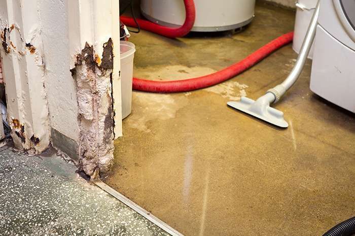 Carpet water extraction in Fenton MI