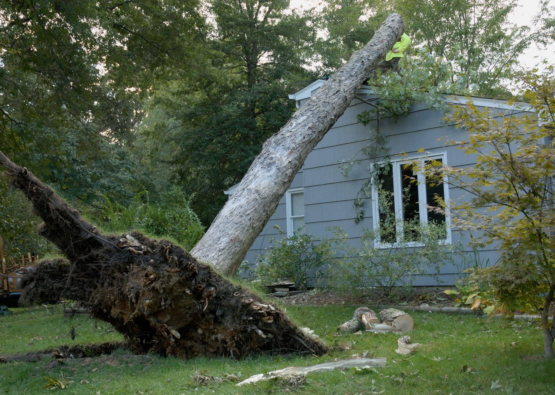 house damaged by a fallen tree as a result of the weather