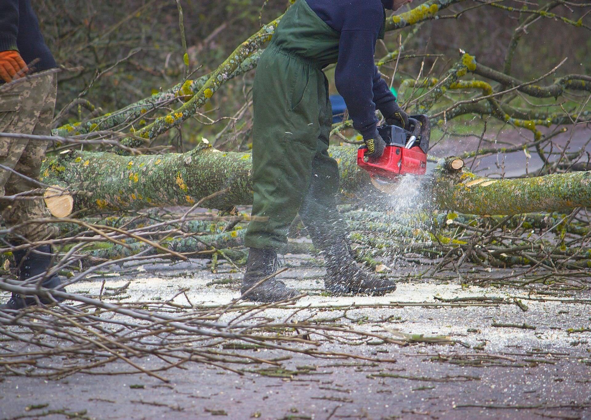 worker cutting a tree fallen in a road as part of an emergency tree service requested