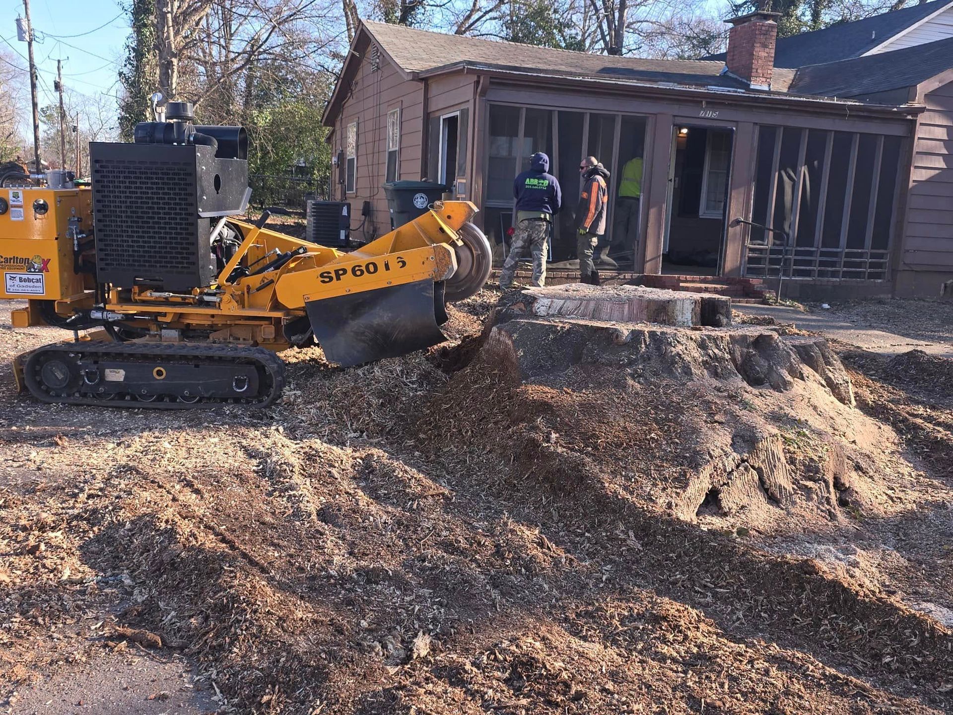 A yellow stump grinder is cutting a tree stump in front of a house. A yellow stump grinder is cutting a tree stump in front of a house.
