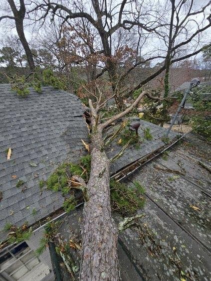 A tree has fallen on the roof of a house.