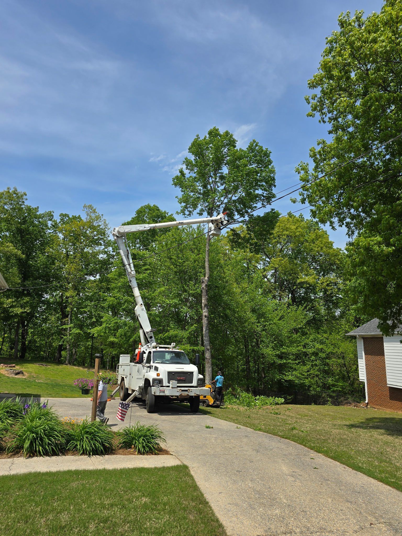 A white truck with a crane on top of it is cutting a tree. A white truck with a crane on top of it is cutting a tree.