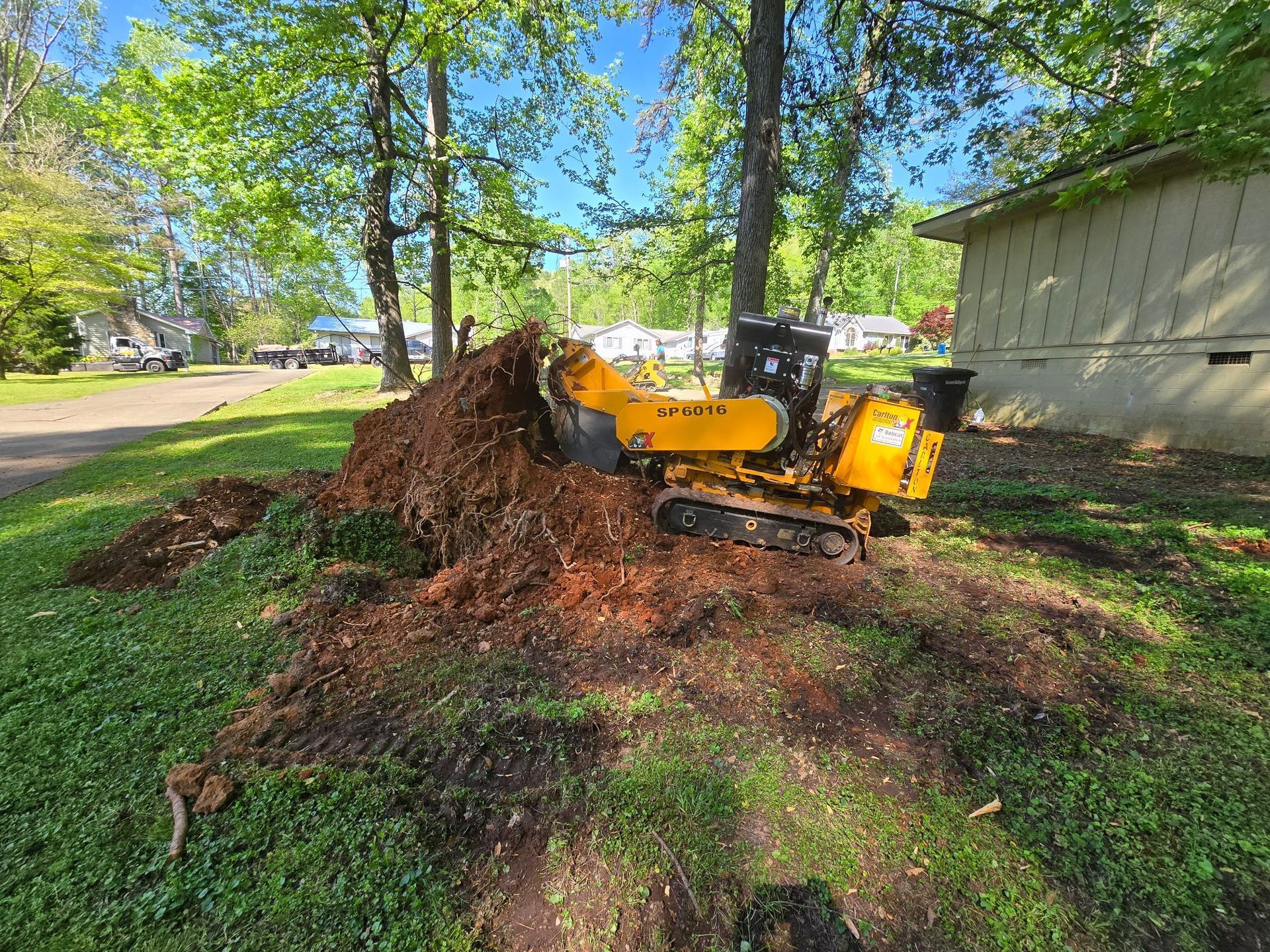 A yellow stump grinder is cutting a tree stump in a yard.