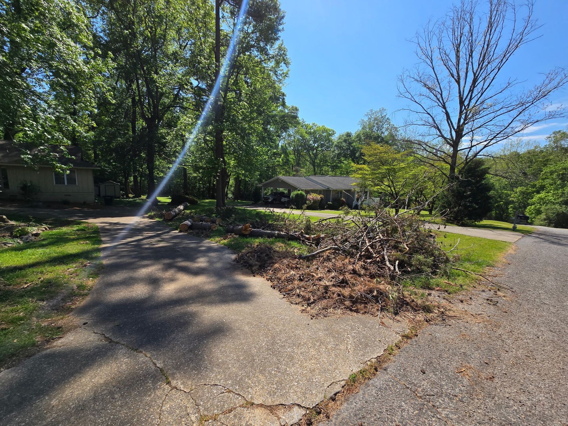 A tree has fallen on the side of the road in front of a house.