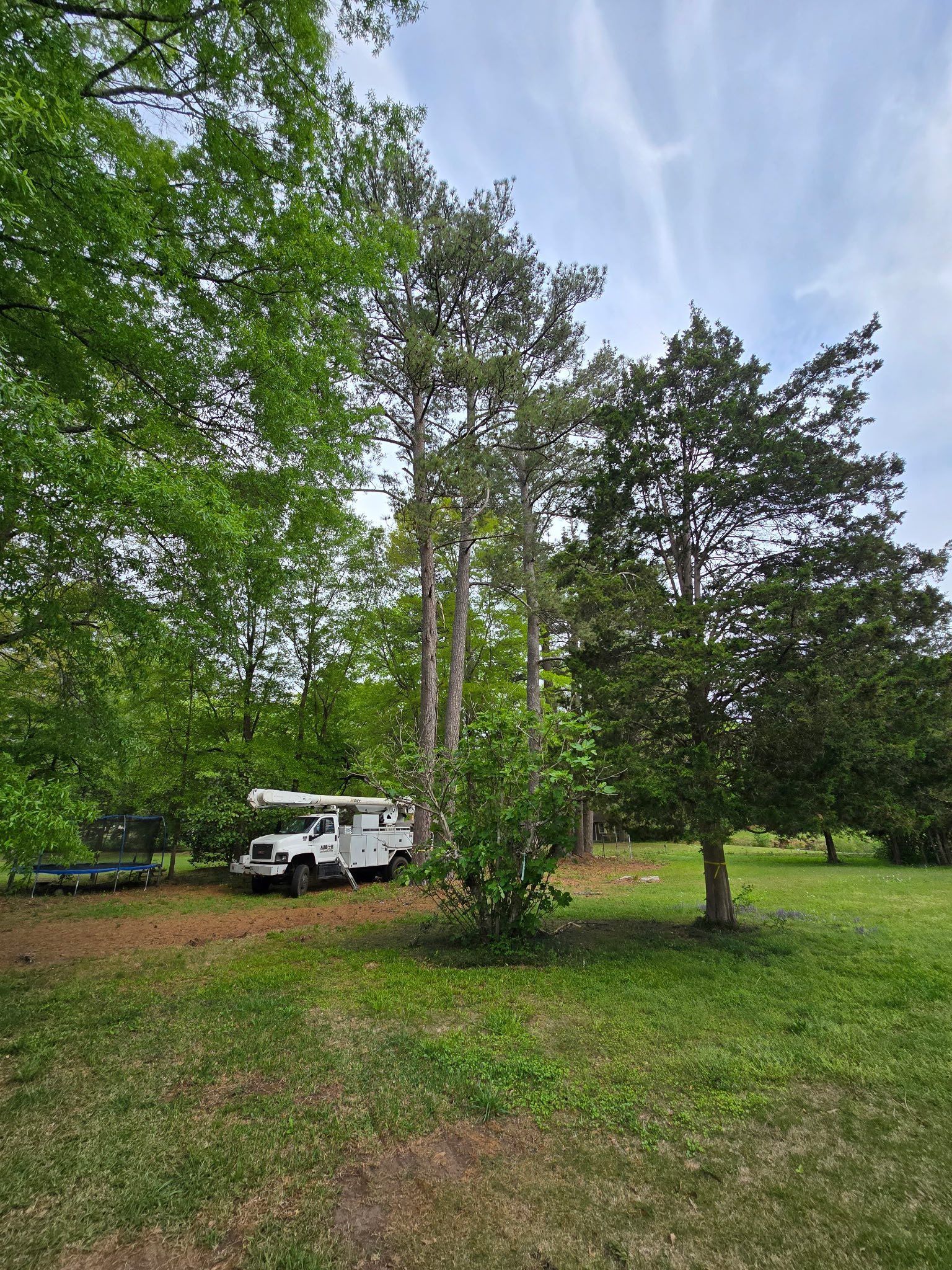 A rv is parked in a grassy field surrounded by trees.