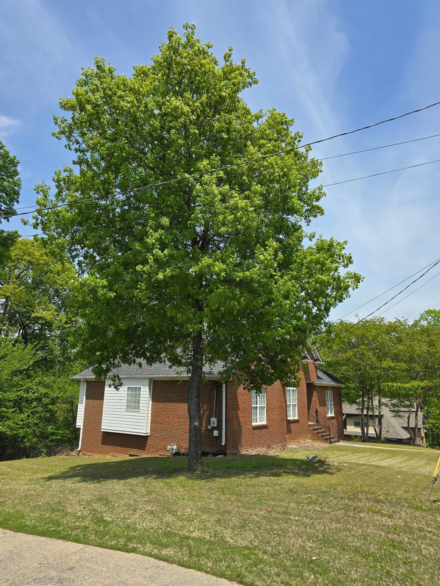 A brick house with a tree in front of it.