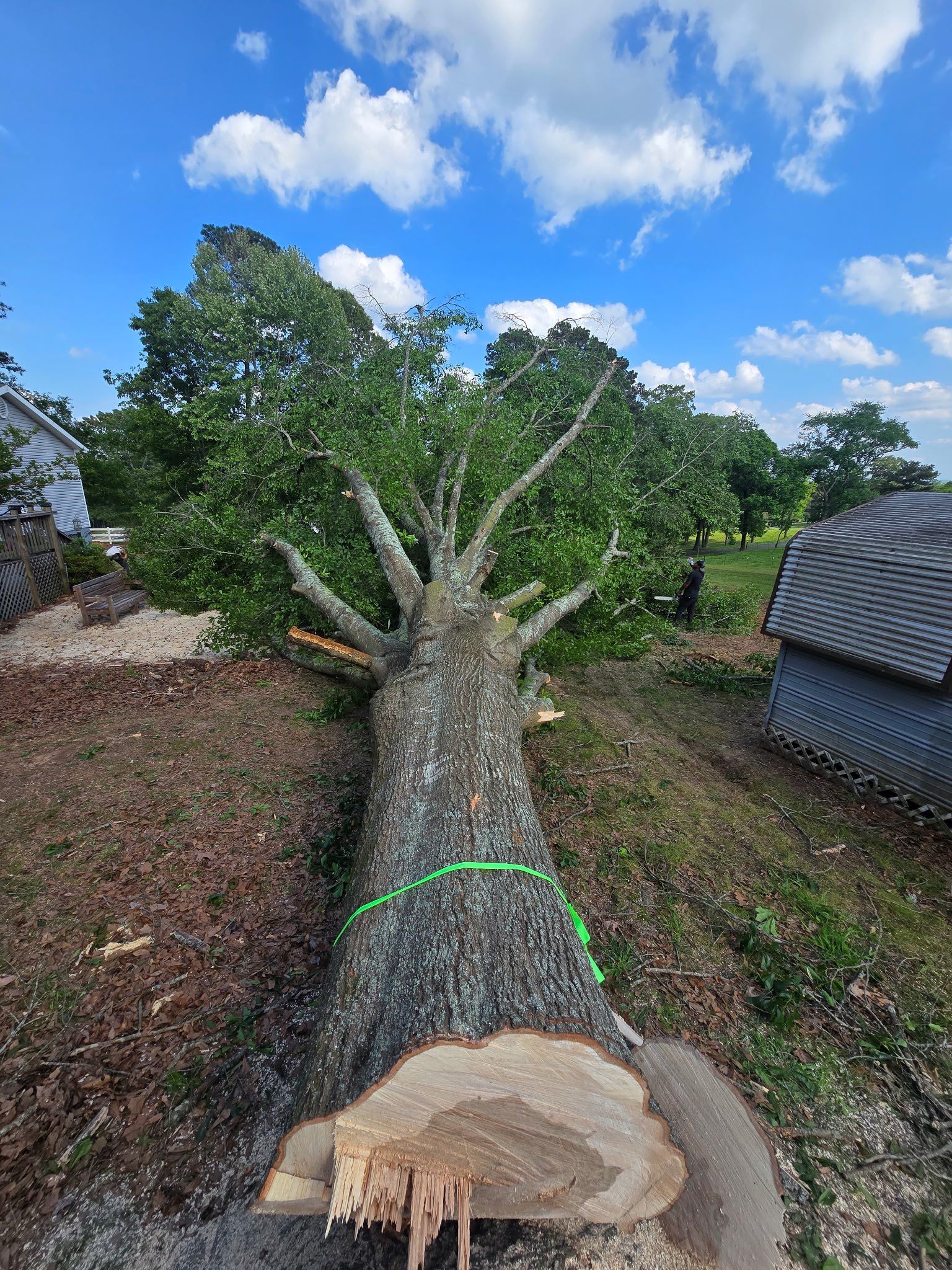 A chainsaw is sitting on top of a tree stump. A chainsaw is sitting on top of a tree stump.