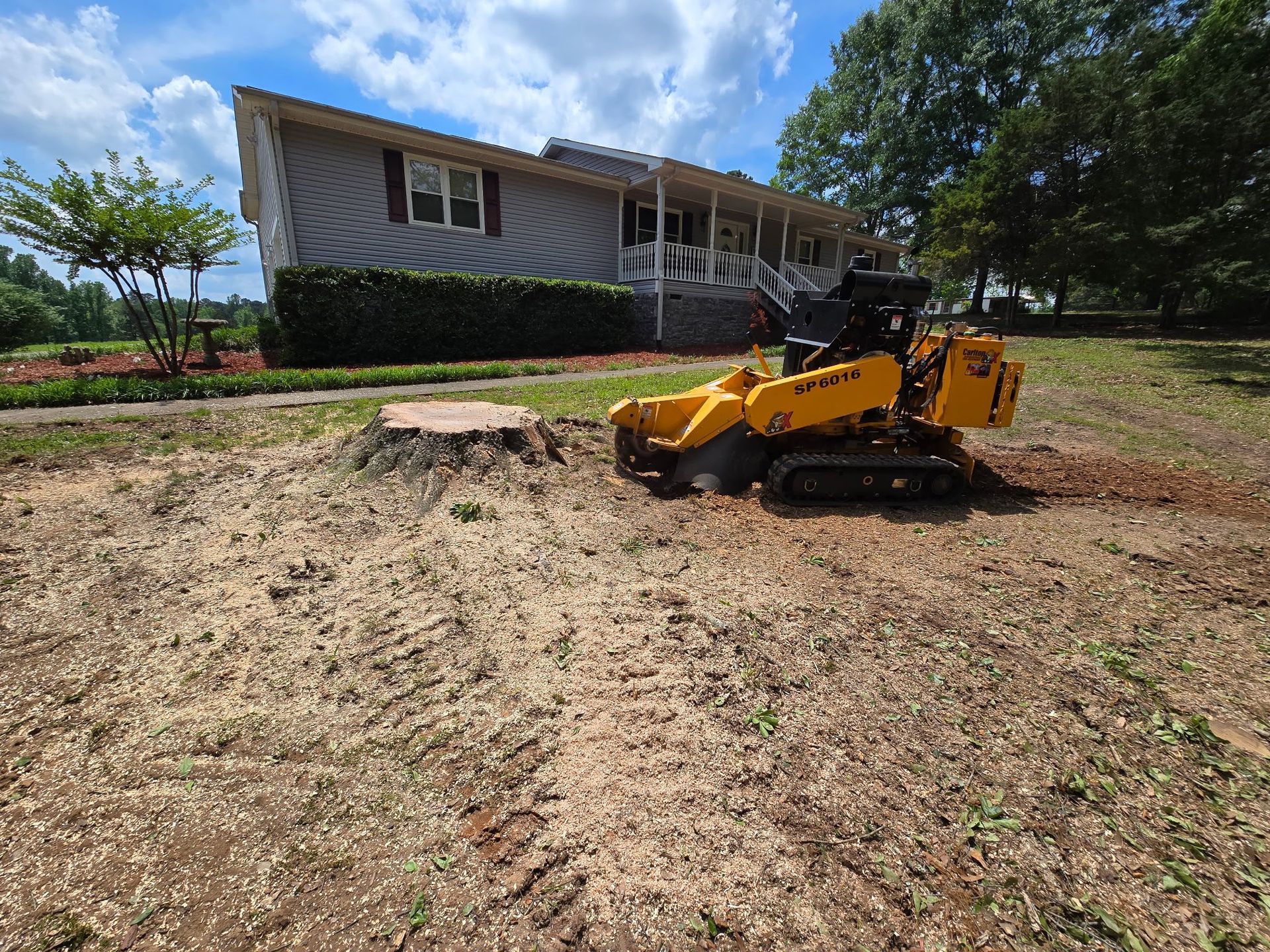 A yellow tractor is cutting down a tree stump in front of a house.