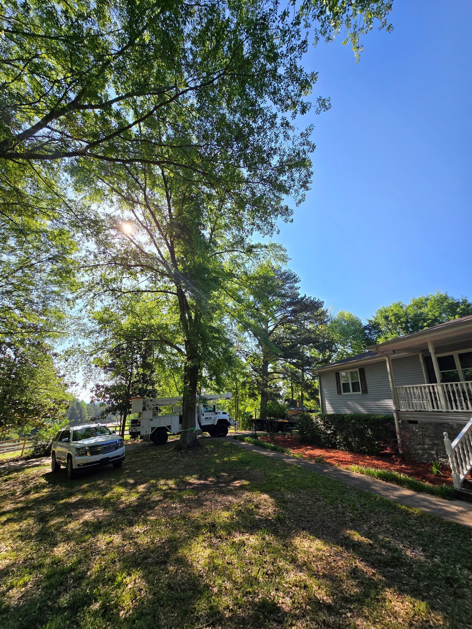 A house with a lot of trees in front of it.