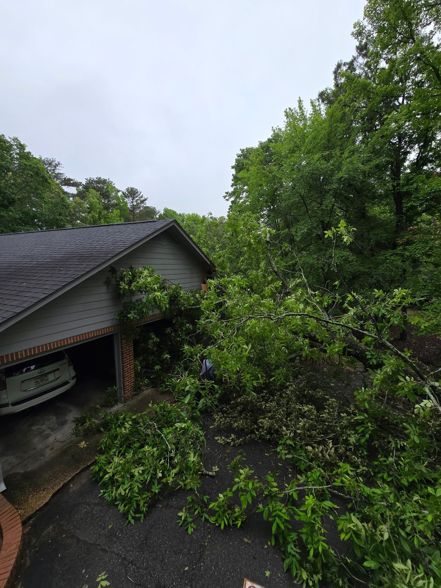 A tree has fallen on the roof of a house.