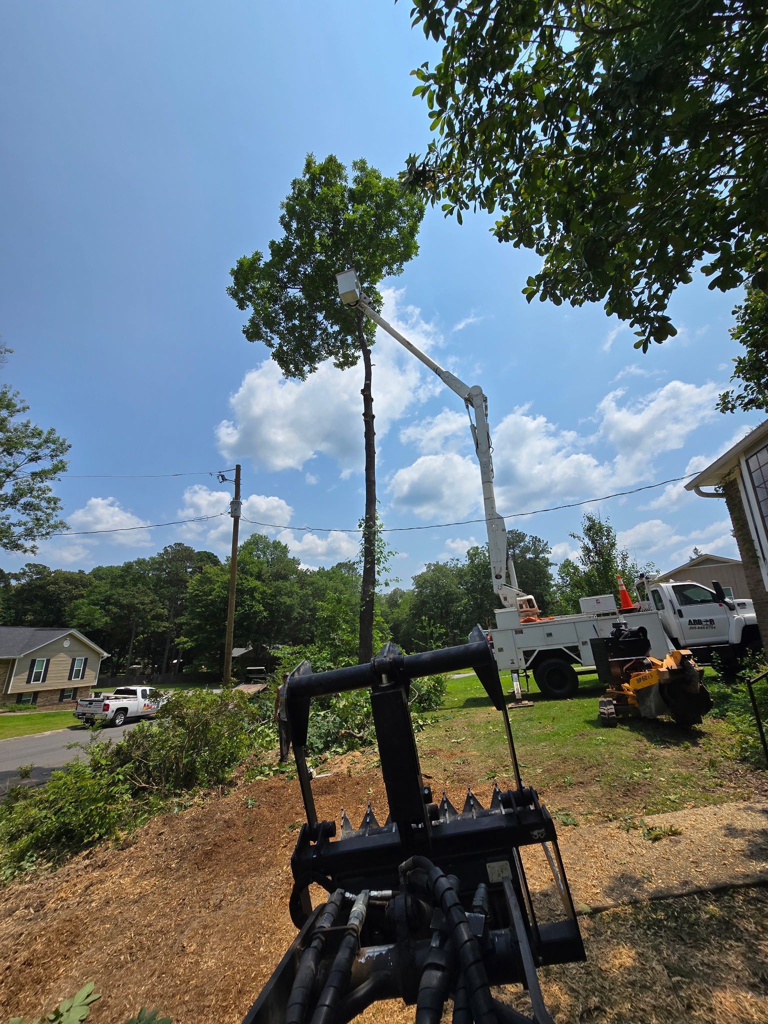 A tree is being cut down by a crane in a yard.