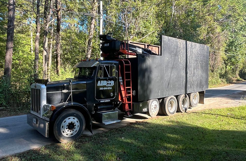 A black semi truck is parked on the side of a road.