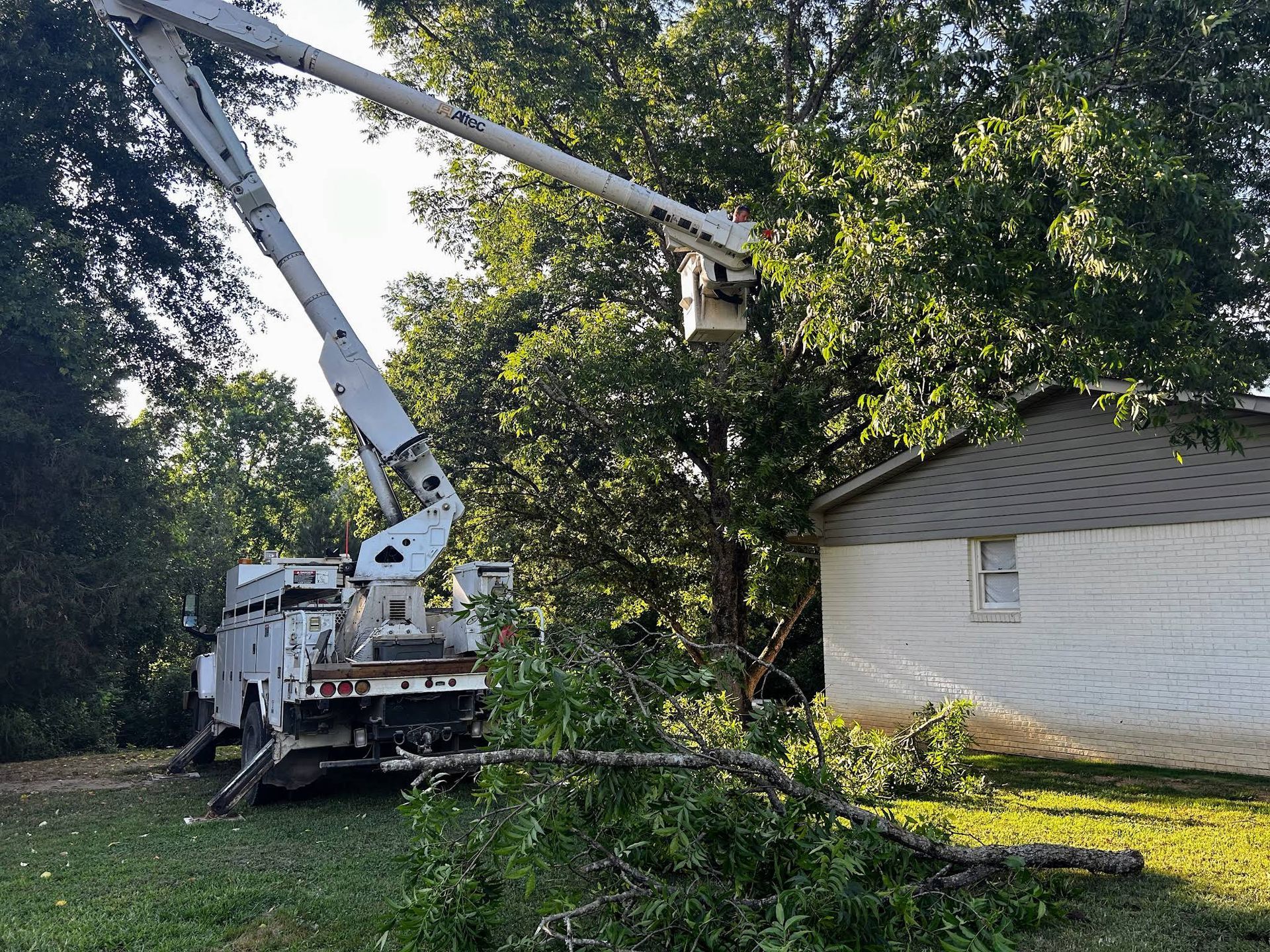 A crane is being used to remove a tree from the roof of a house. A crane is being used to remove a tree from the roof of a house.