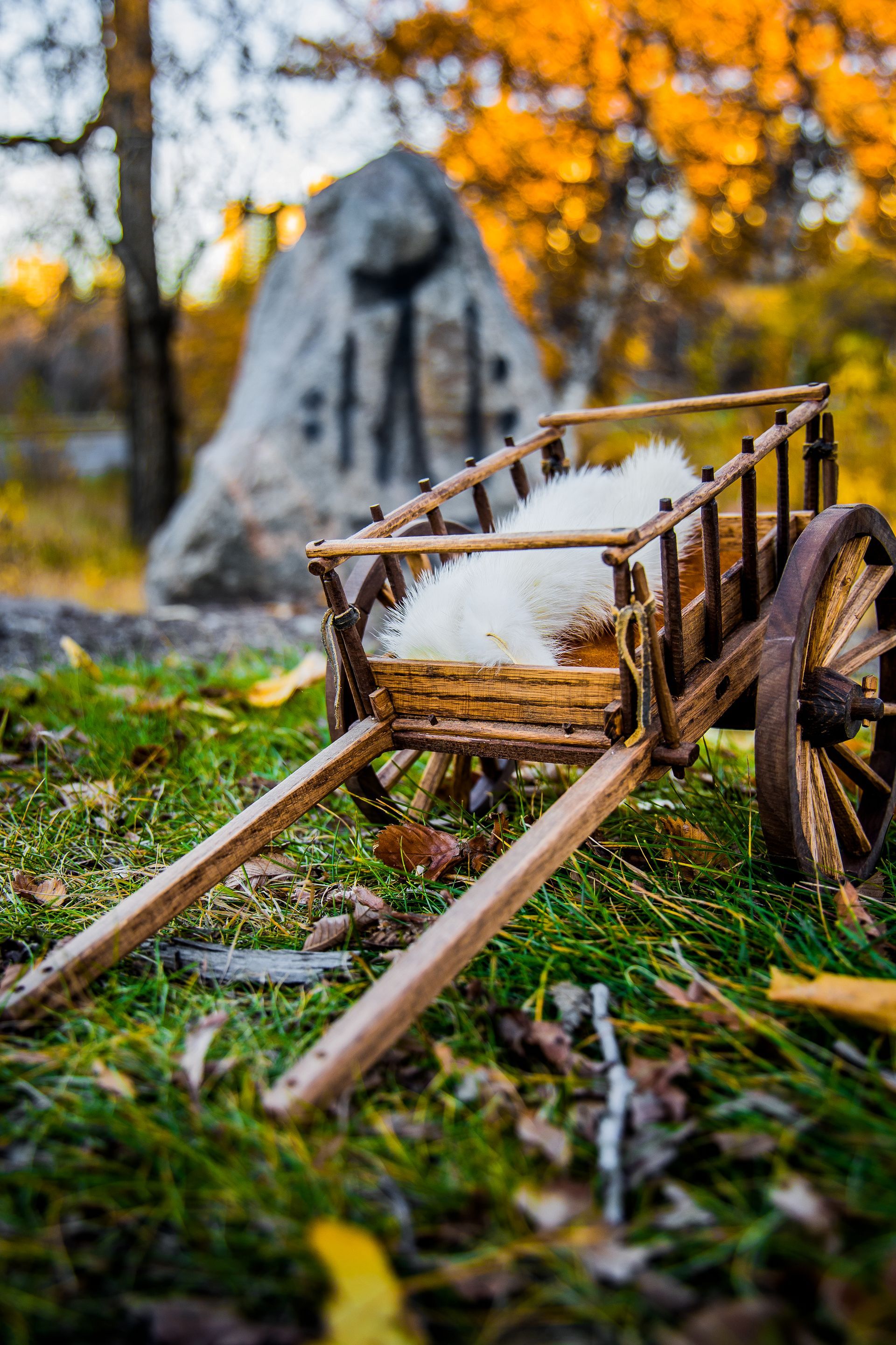 Red River Cart for sale.